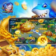 wildbet777